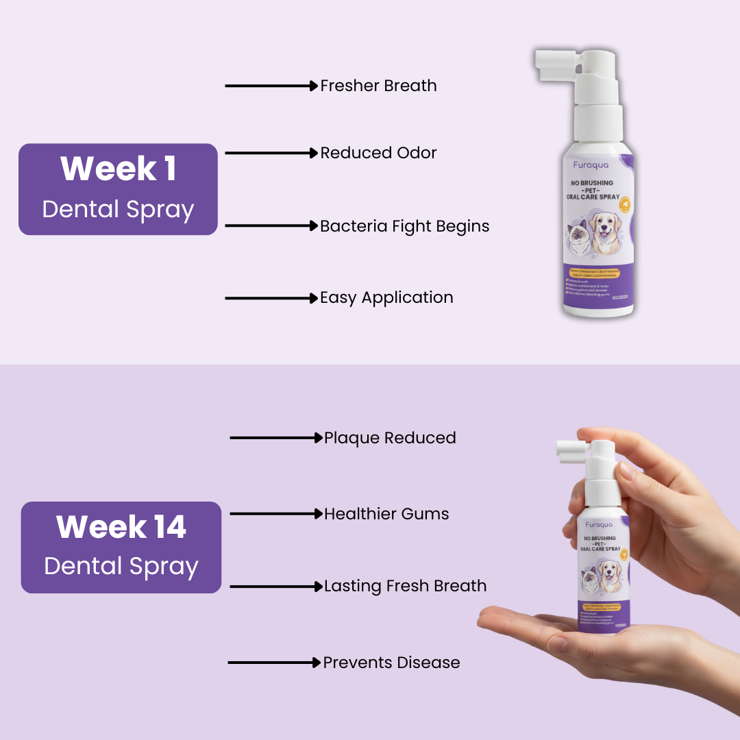 Furaqua Oral Cleaning Spray