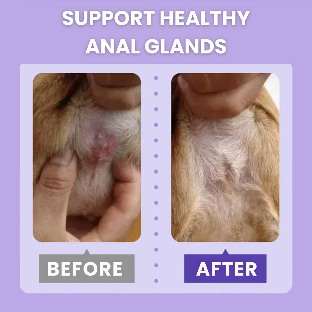 Furaqua Antimicrobial Pet Anal Gland Spray