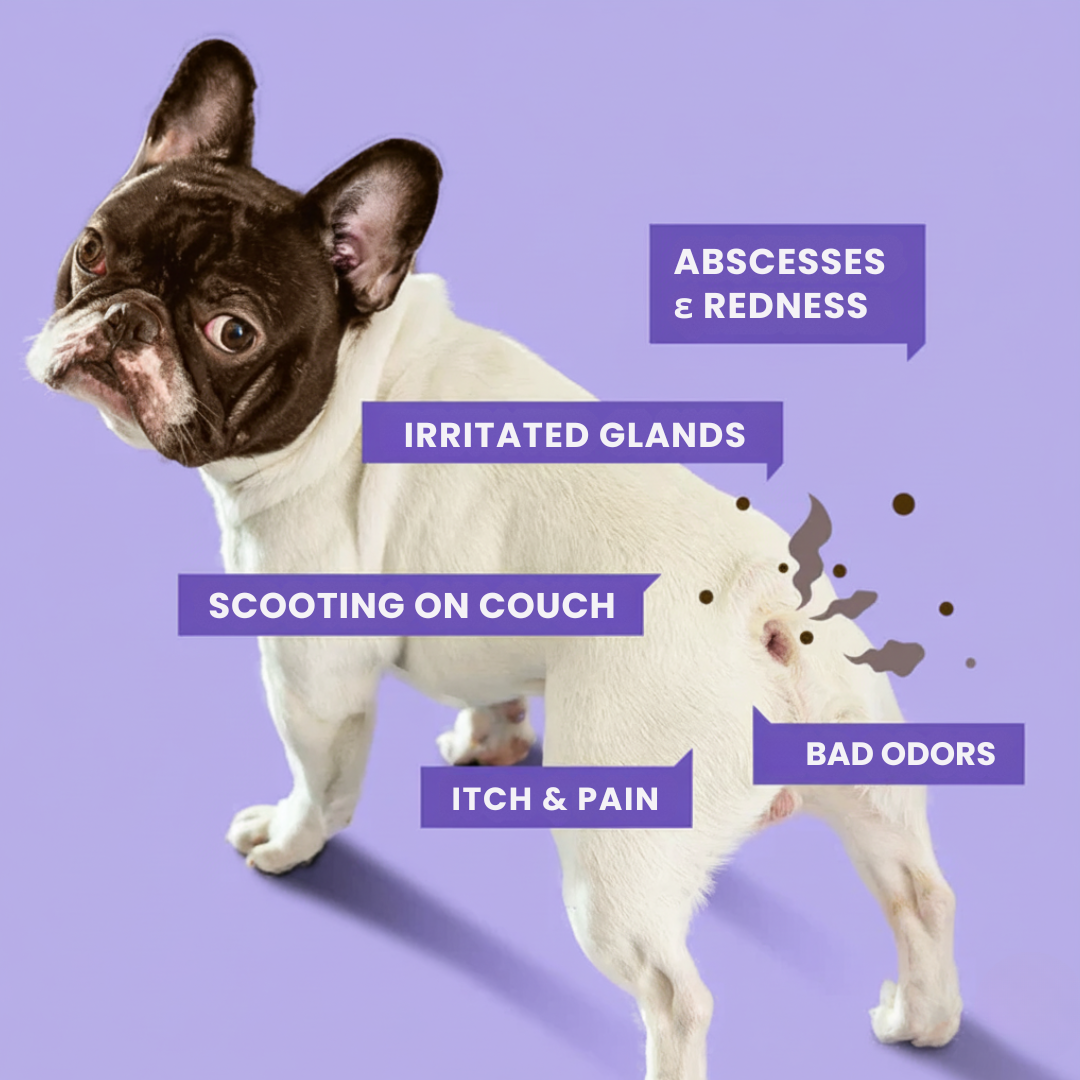 Furaqua Antimicrobial Pet Anal Gland Spray