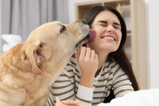 How to Keep Your Dog's Breath Smelling Fresh Every Day