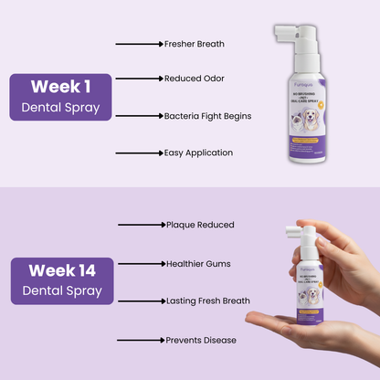 Furaqua Oral Cleaning Spray