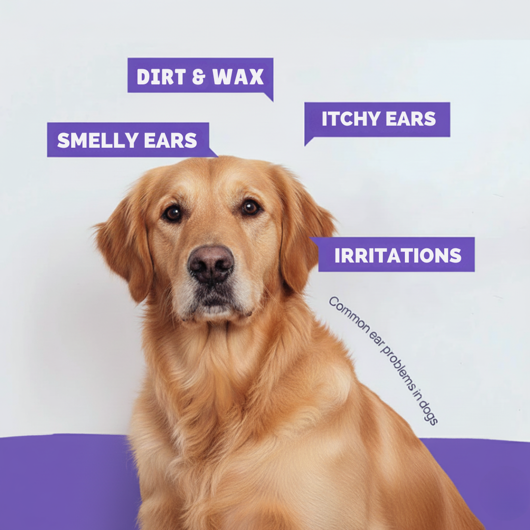 Furaqua Anti-itch & Antimicrobial Pet Ear Rinse