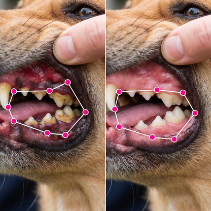 Furaqua Pet Oral Spray