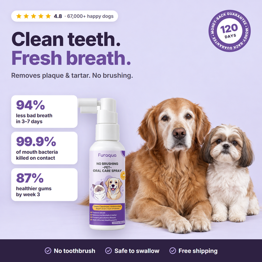 Dental Pet Spray by Furaqua