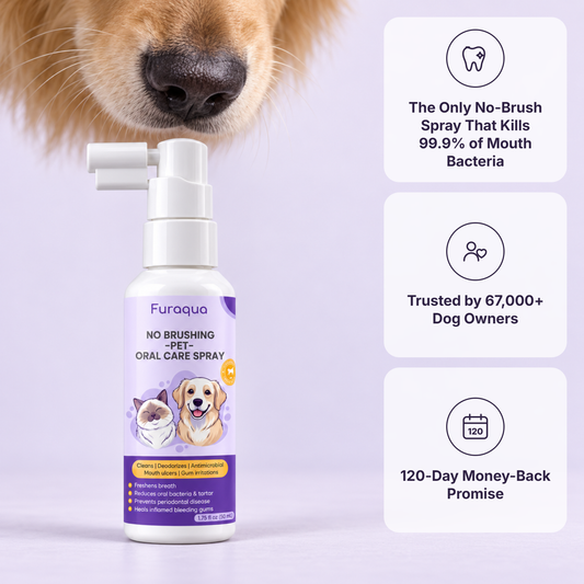 Dental Pet Spray by Furaqua