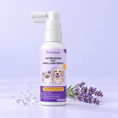 Dental Spray