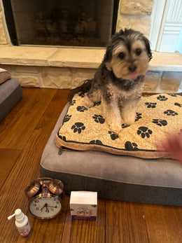 Customer photo